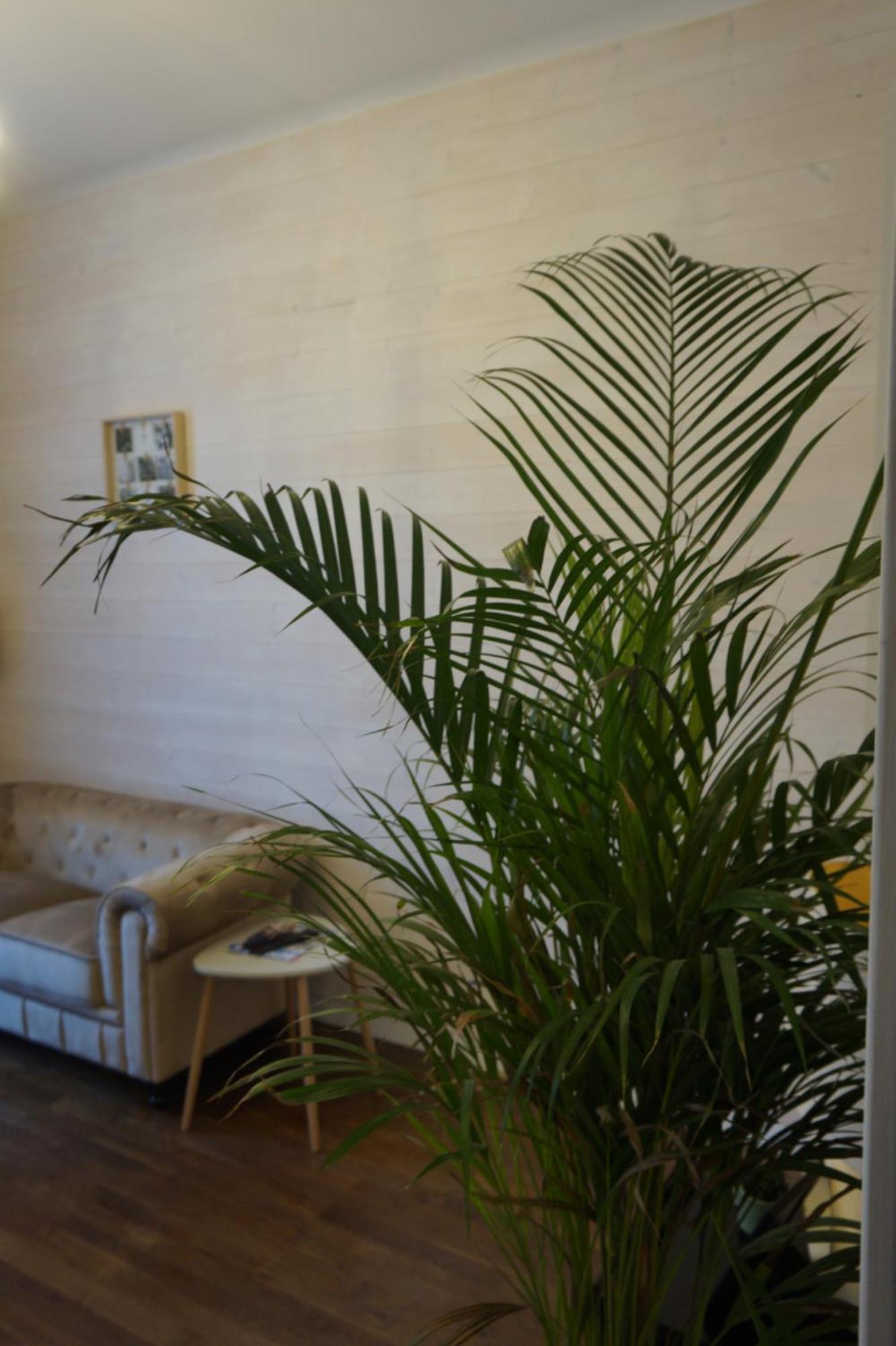 L'experience & Prive Appartement *